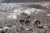 File velebaltoro6