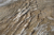 File elicottero17