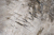 File elicottero22