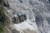 File elicottero29
