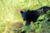 File juneau10