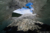 File juneau12