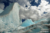 File juneau3