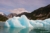 File ramoorientaleglacierbay2