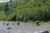 File ramoorientaleglacierbay11
