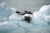 File ramoorientaleglacierbay15