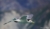 File ramoorientaleglacierbay21