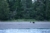 File ramoorientaleglacierbay26