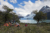 File losglaciares38