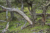 File losglaciares43