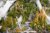 File losglaciares44