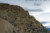 File losglaciares8