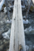 File fitzroycerrotorre15