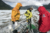 File exploradores21