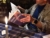 File letture serali