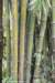 File dsc 3061