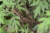 File dsc 3216