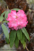 File dsc 3366