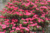 File dsc 3463