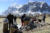 File 015 dsc 4130