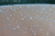 File 028 dsc 4182