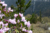 File 041 dsc 4294