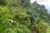 File 053 dsc 4382 02 p1120762