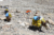 File 29 dsc 4854