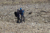 File 012 25 p1130725