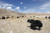 File 02 dsc 4970