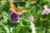 File 010 dsc 0723