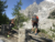 File 02 img 2520
