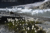 File 05 dsc0918 04 dsc0877 fronte del ghiacciaio fellaria ramo orientale © 2019 fabiano ventura