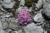 File 26 dsc1621