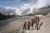 File sulle tracce dei ghiacciai alpi 2020