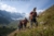 File sulle tracce dei ghiacciai alpi 2020