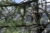 File stdg alpi2021 galleria03 m7a9480