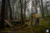 File 018dsc 1742