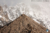 File 023 img 5869