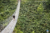 File 03dsc 3203