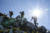 File 040 dsc4761