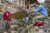 File 04dsc 0578