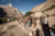 File 09 img 4856