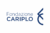 Macromicro partner cariplo 2