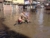Alexandria flooded(credit eslam hassan)